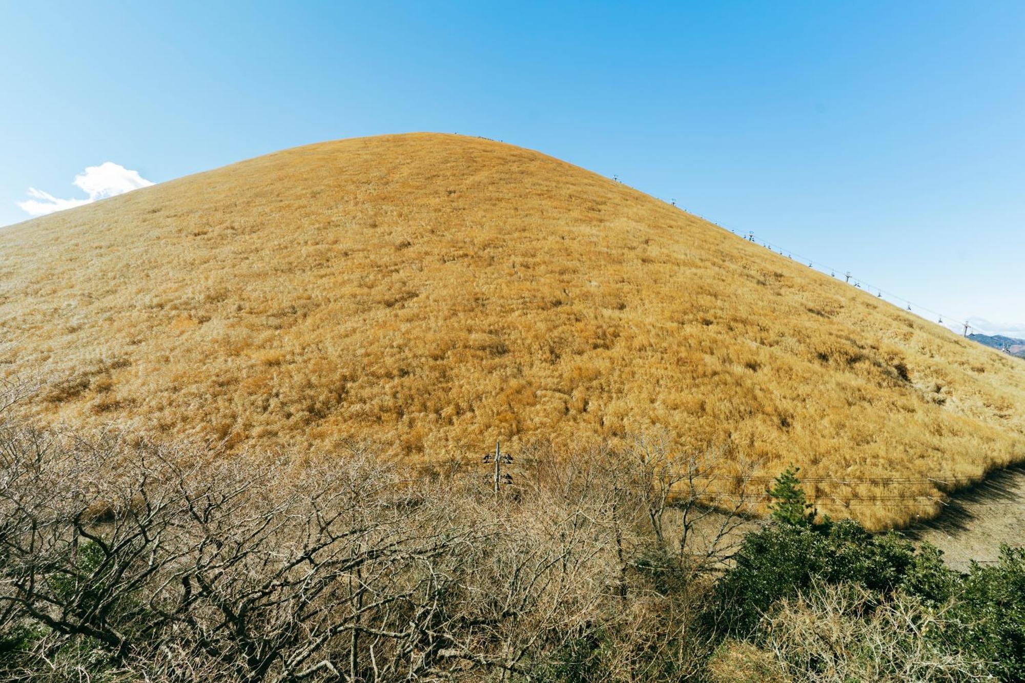 スマートステイ大室山2合目 Villa Futo Eksteriør bilde